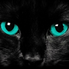 Random Cat Fact [Updated - New API]